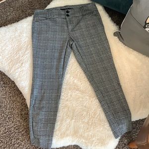 Torrid Business Slacks
